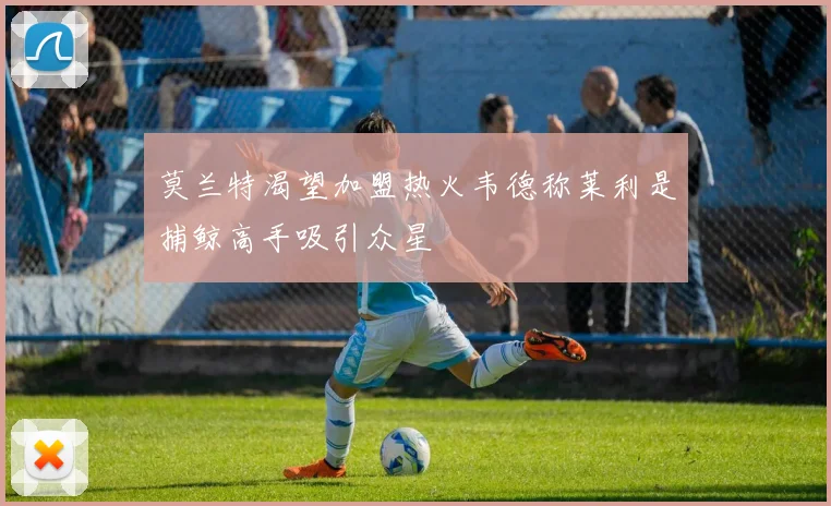 莫兰特渴望加盟热火韦德称莱利是捕鲸高手吸引众星