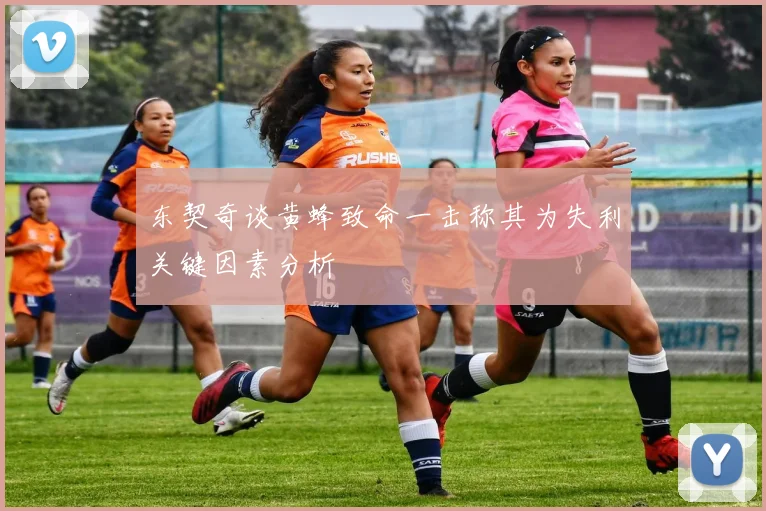 东契奇谈黄蜂致命一击称其为失利关键因素分析