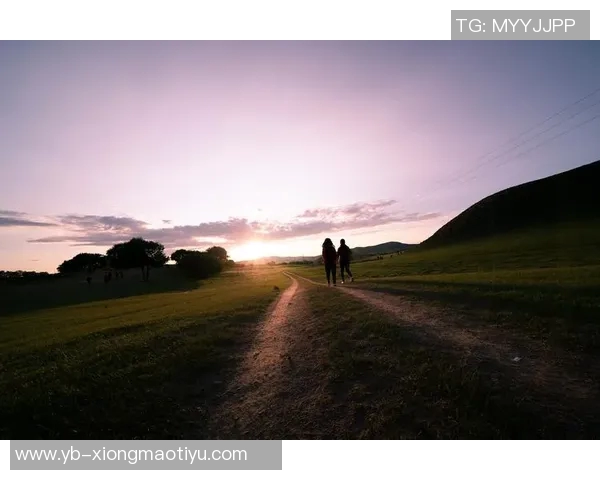 为爱而生的誓言我们携手共进勇往直前的决心